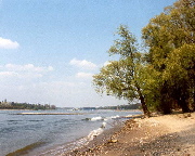 Rheinufer bei Niederdollendorf