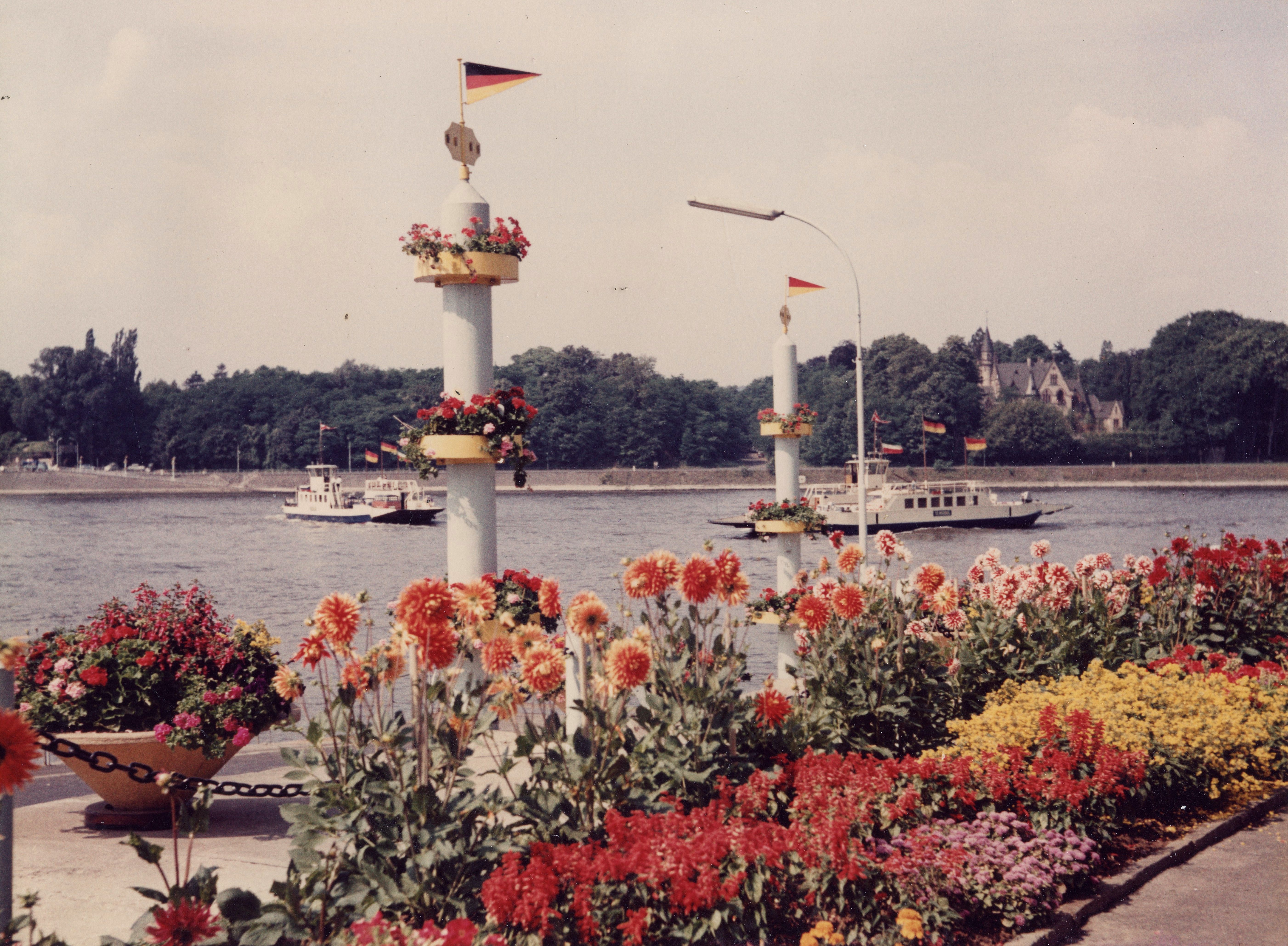 Fähren Niederdollendorf - Bad Godesberg