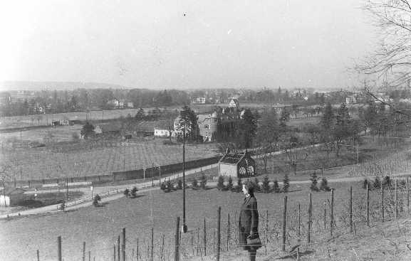 Longenburg mit Niederdollendorf im Hintergrund