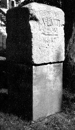 Myriameterstein in Niederdollendorf