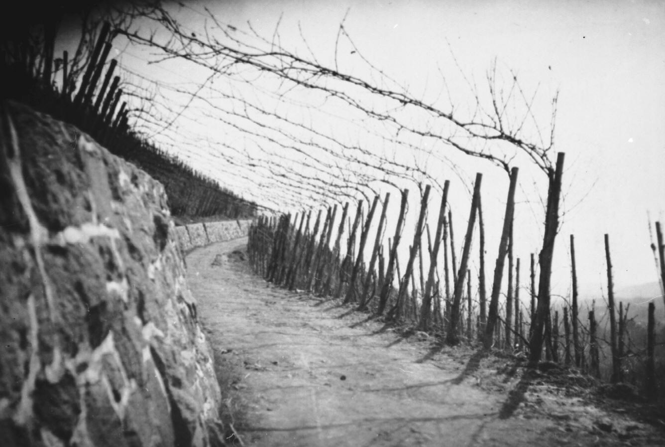 Kellerberger Winzerweg.1932