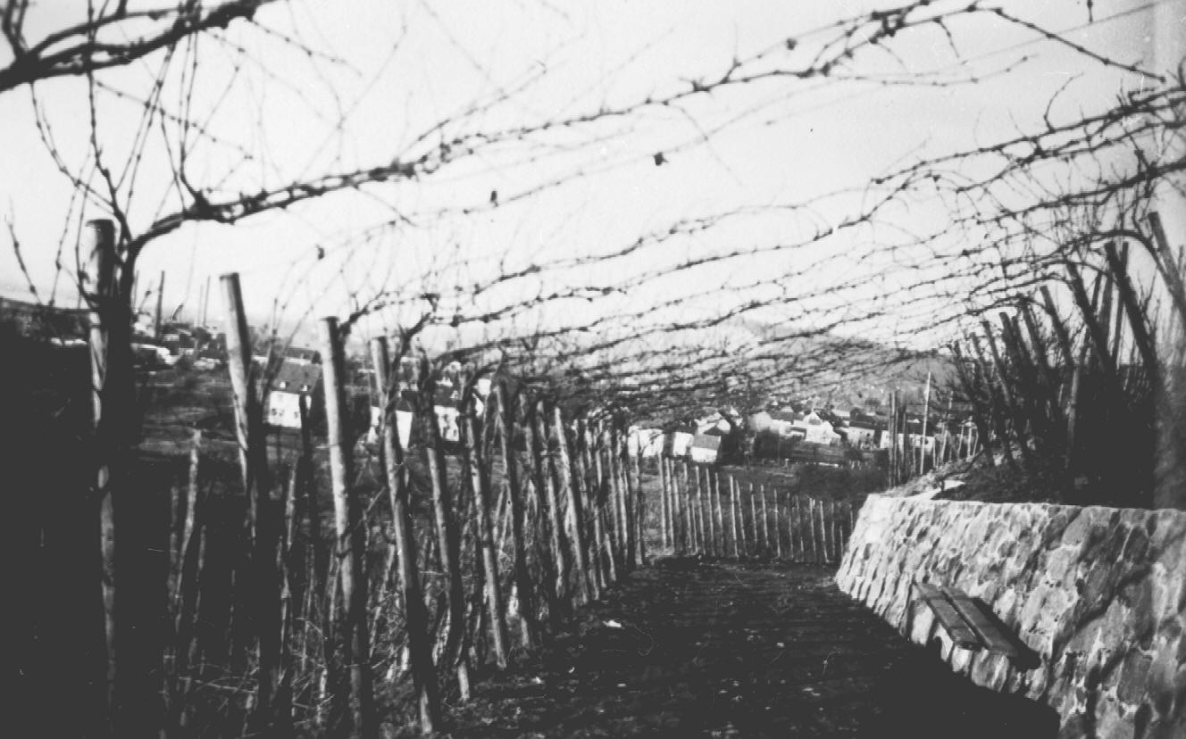 Kellerberger Winzerweg